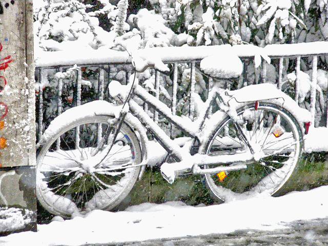 rower w zimie
