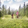 Rowery KTM – austriacka marka dla wymagających